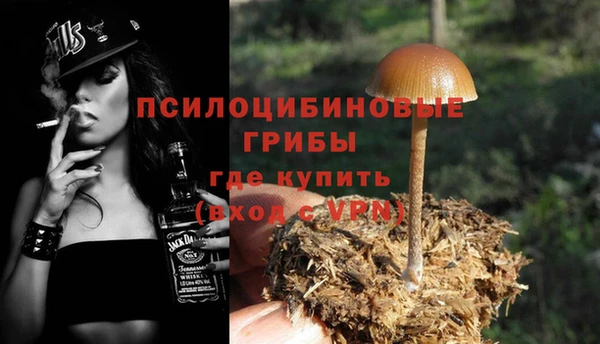 эйфоретик Горнозаводск