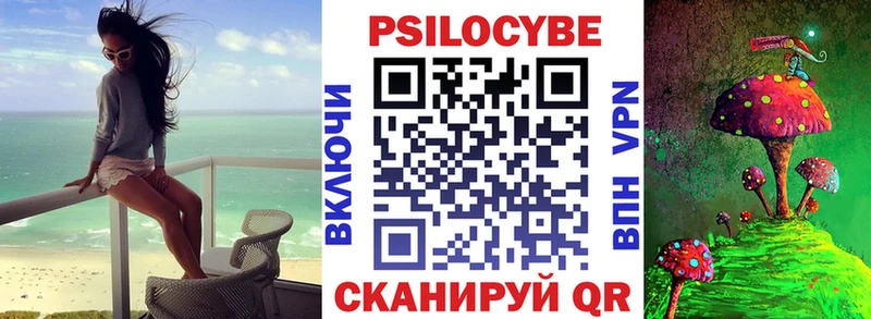 Псилоцибиновые грибы мицелий Белгород